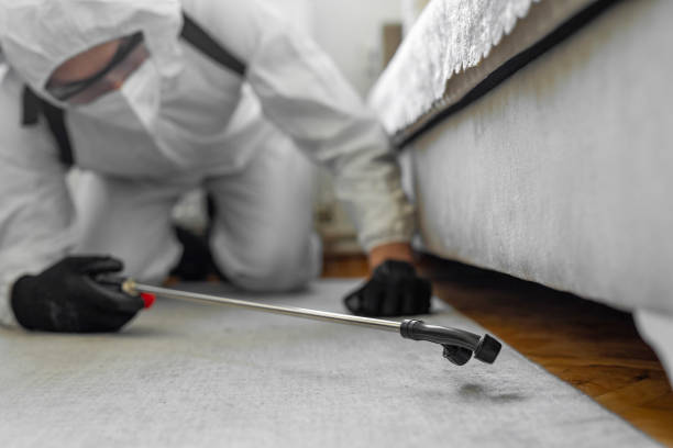 Professional Termite Control technician working in Penitas, TX