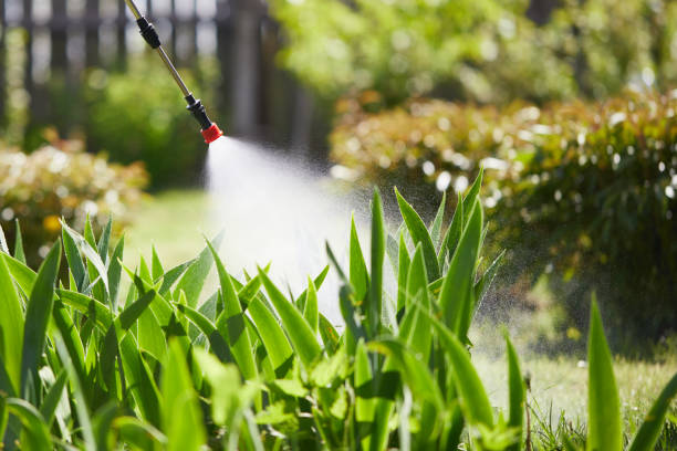 24/7 Emergency Termite Control experts in Penitas, TX
